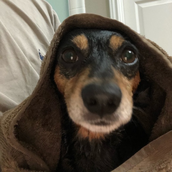 Meet your Posher, David - Picture 1 of 1